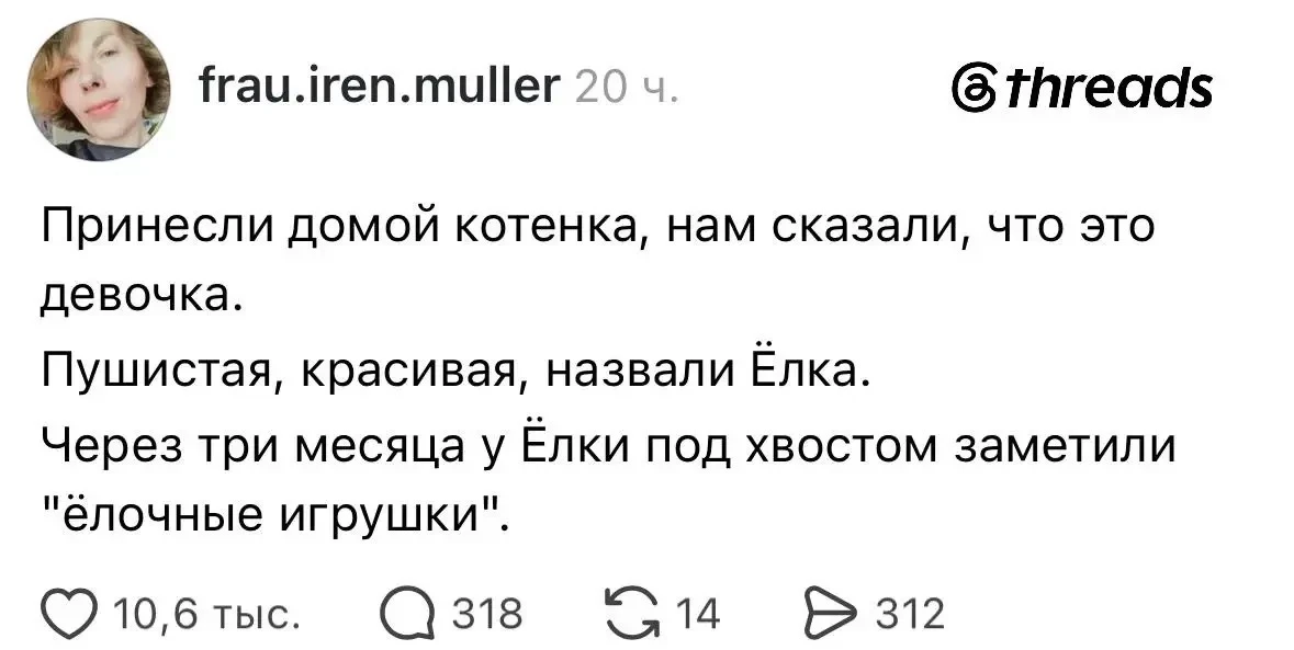 А вот с нашими кабачками — котятами такого точно не произойдет. Имейте в виду. 😉