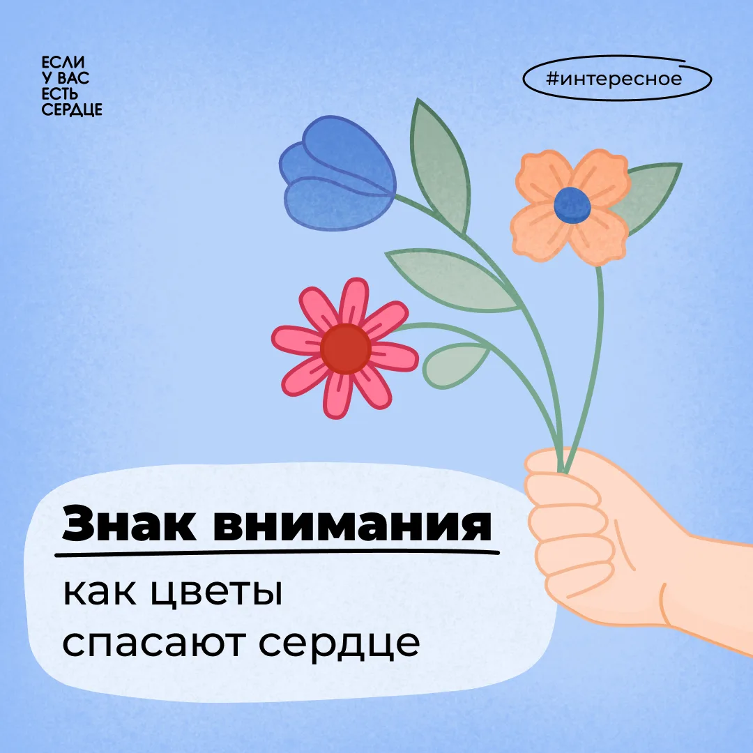 💐 Цветы сами по себе не лечат сосуды, но знак внимания, который за ними стоит, поддерж...