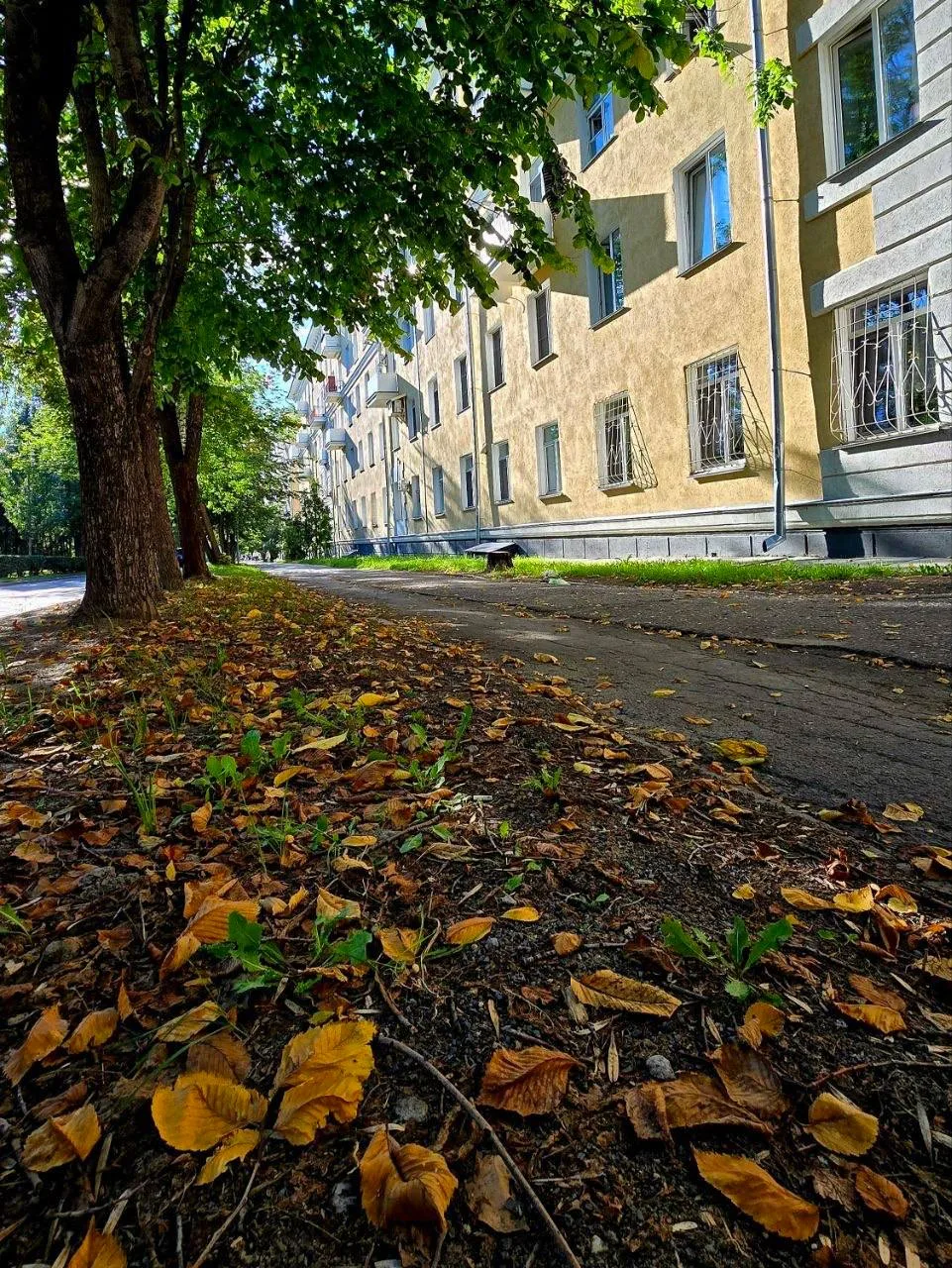 Самое начало осени 🍂