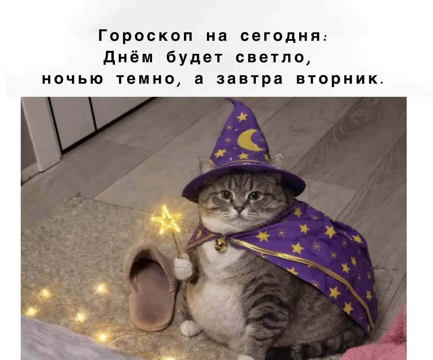 Новая понедельничная рубрика:гороскоп недели 

♈️ Овен. Период высокой социальной активности. Предст