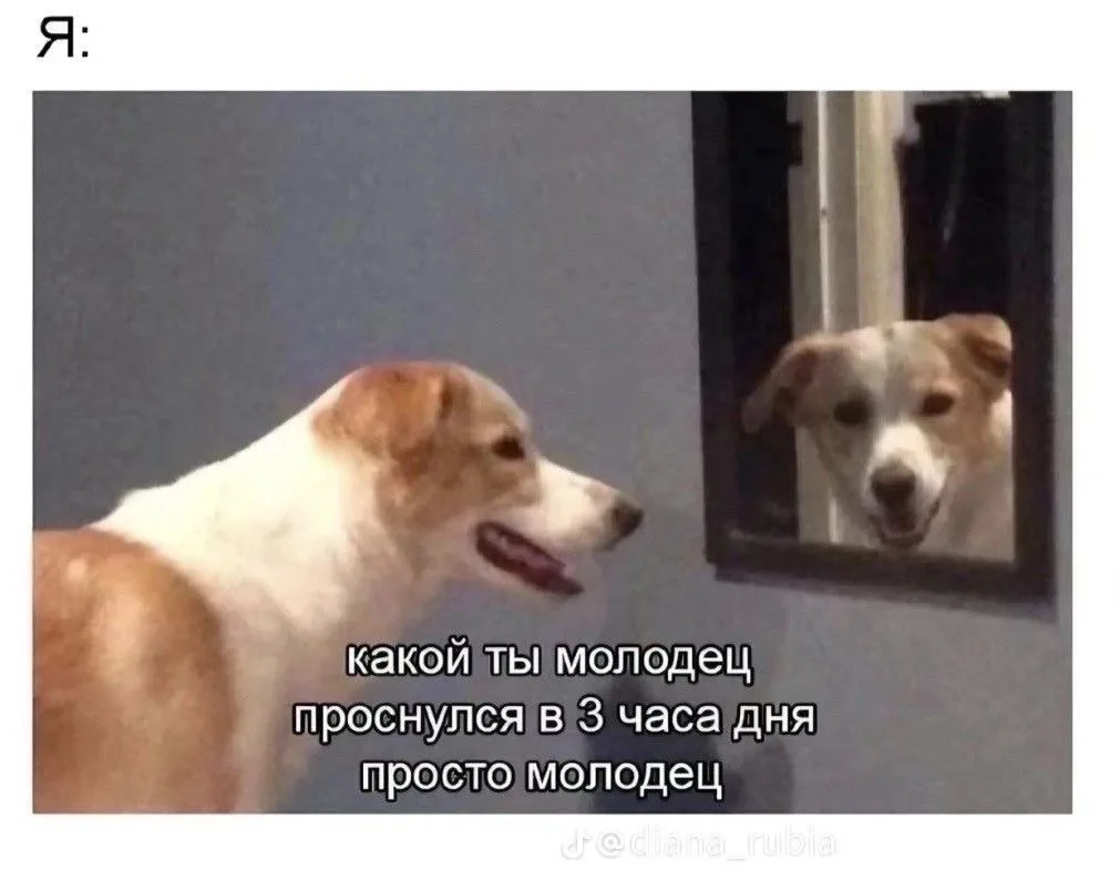 Мем выходного дня.