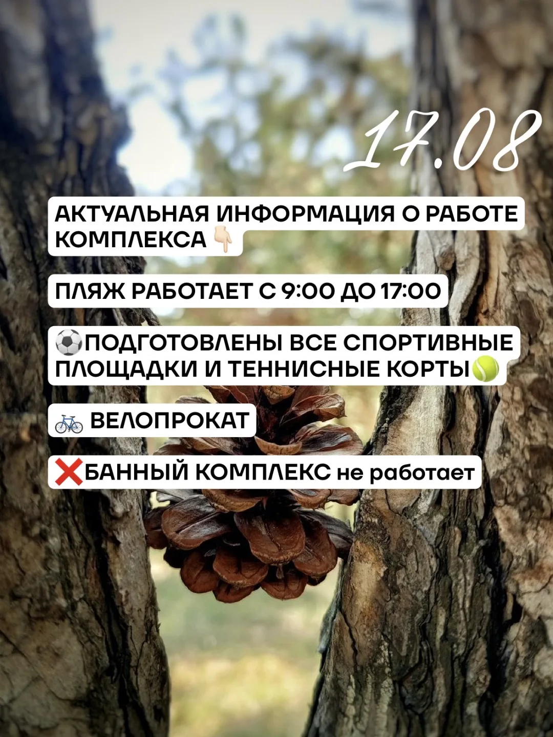 🌥️ Сегодня +17 °C днем — еще один отличный день для отдыха в Чекериле!
