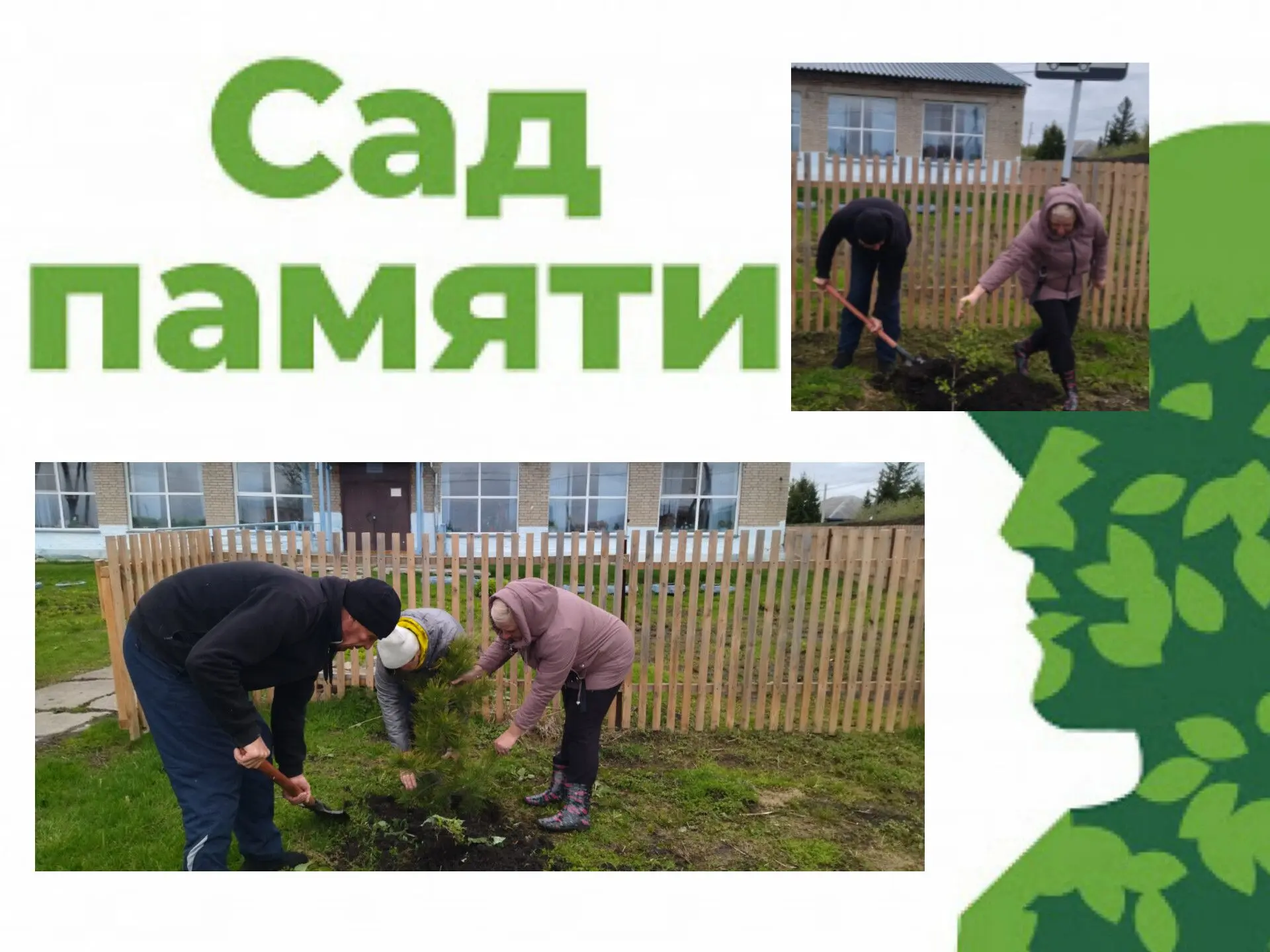 🎈 22 мая  сотрудники МКУ ЦК "Венера"  приняли участие во Всероссийской акции «Сад памя...