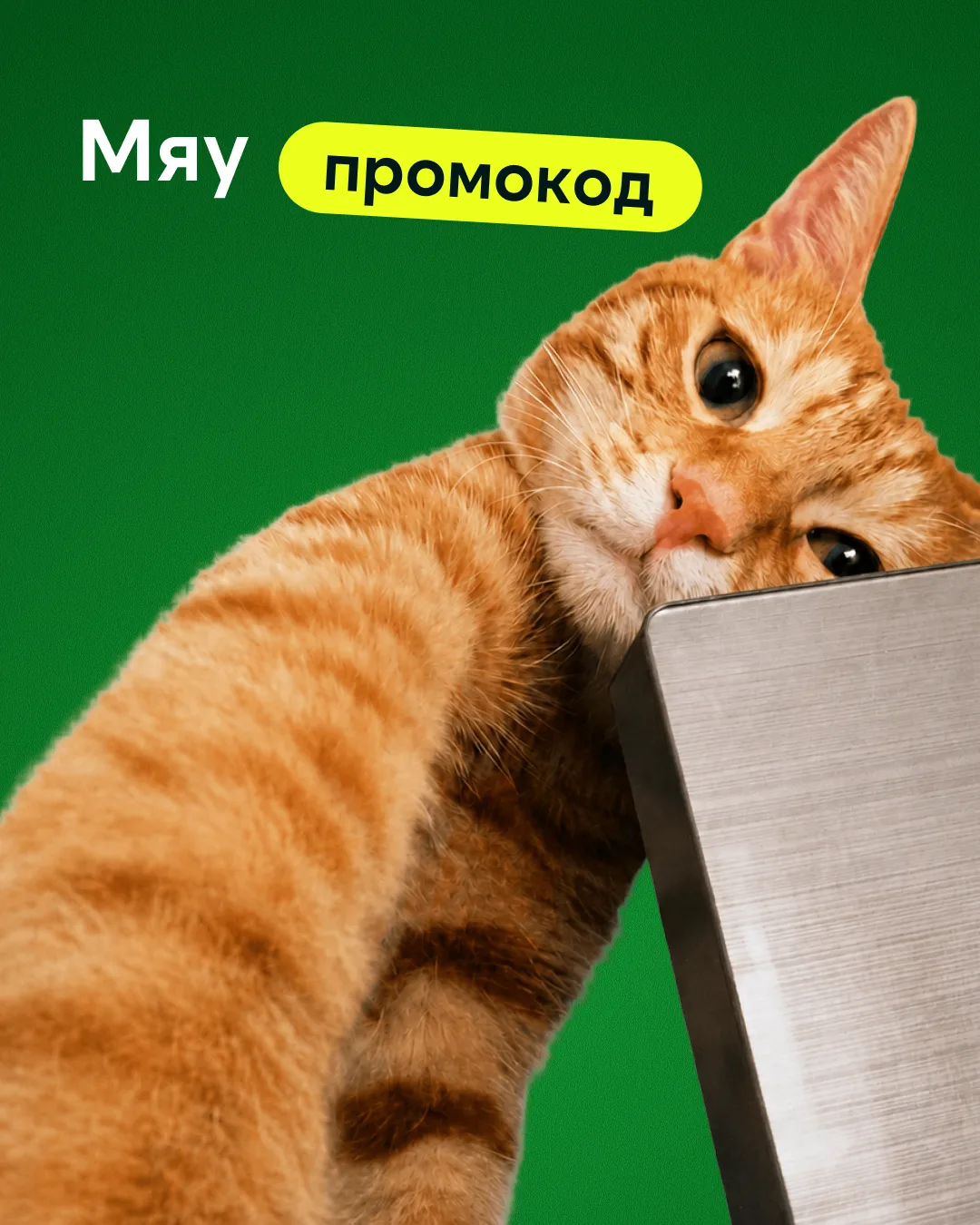 Первая неделя осени заканчивается, но ты успеваешь поймать последние тёплые дни  🍂