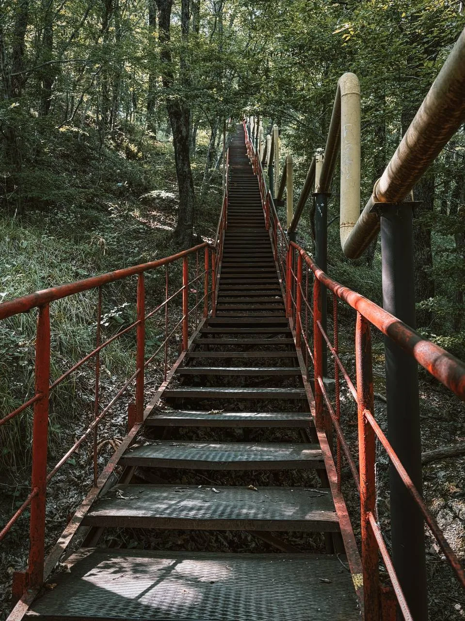 🌿 500 ступеней к морю