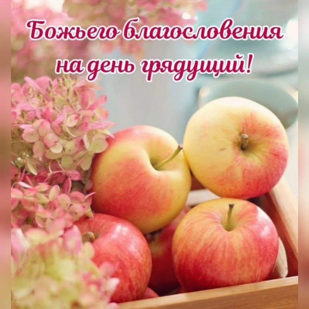 🍯🍏🌰 УСПЕНСКИЙ ПОСТ