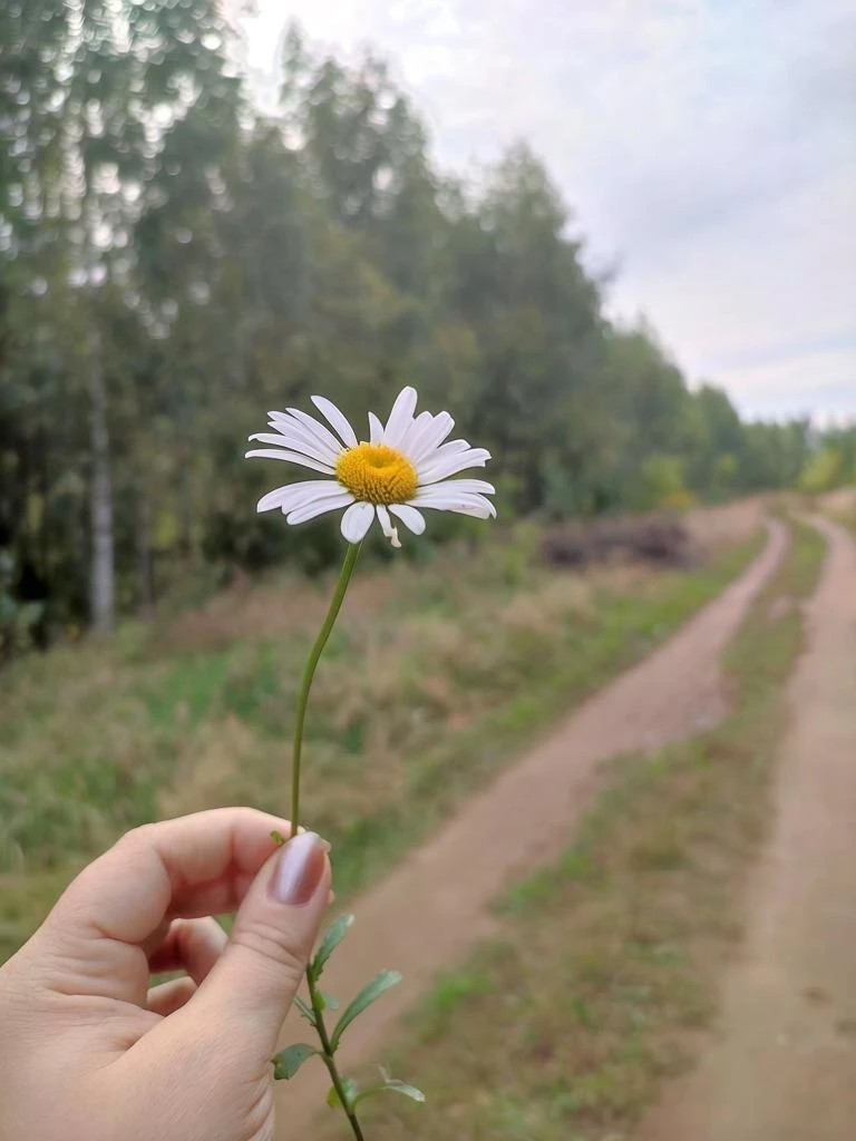 💕Пятница традиционно считается днем Венеры — планеты, которая в астрологии и мифологии...