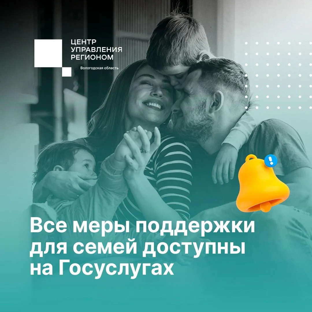 Вологжане могут оформить меры поддержки по программе «Семья — оплот Русского Севера» через региональ