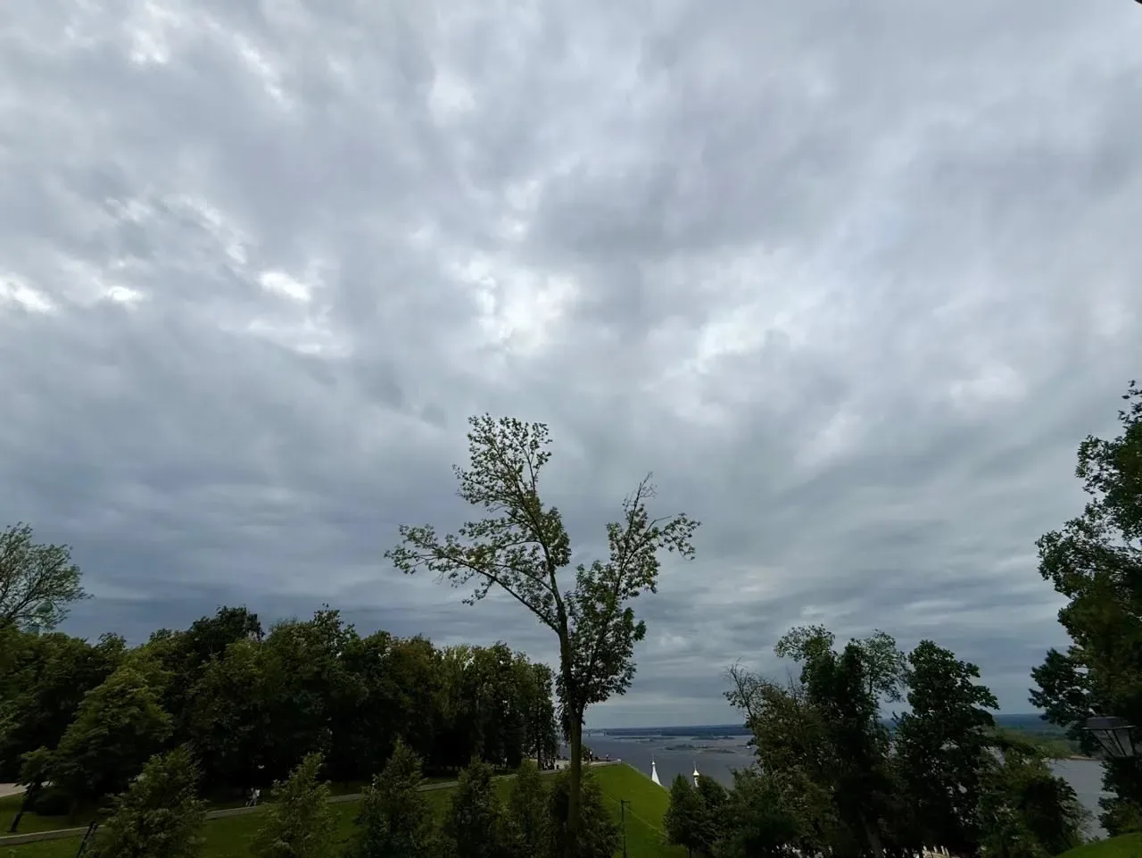 Сильные дожди ожидаются в Нижнем Новгороде 8 июня 🌧️