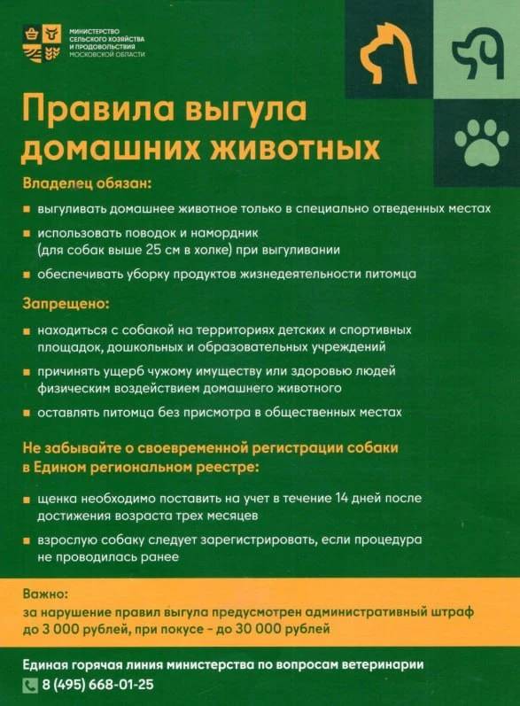 В Подмосковье действуют правила выгула домашних животных 🐶