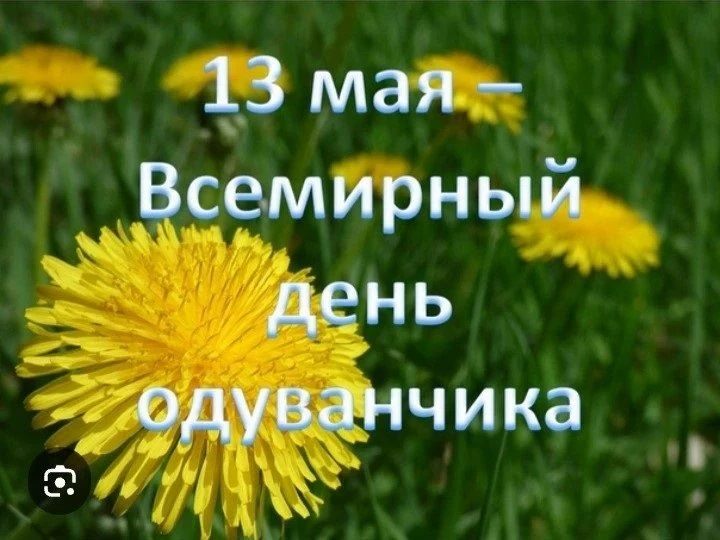 Группа "Теремок"