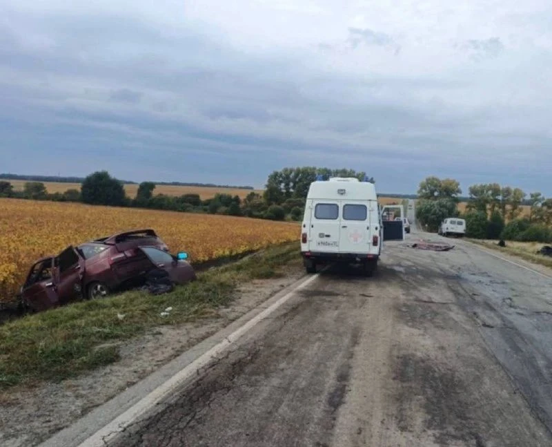 🚨 В ДТП на Орловщине пострадали двое взрослых и ребёнок