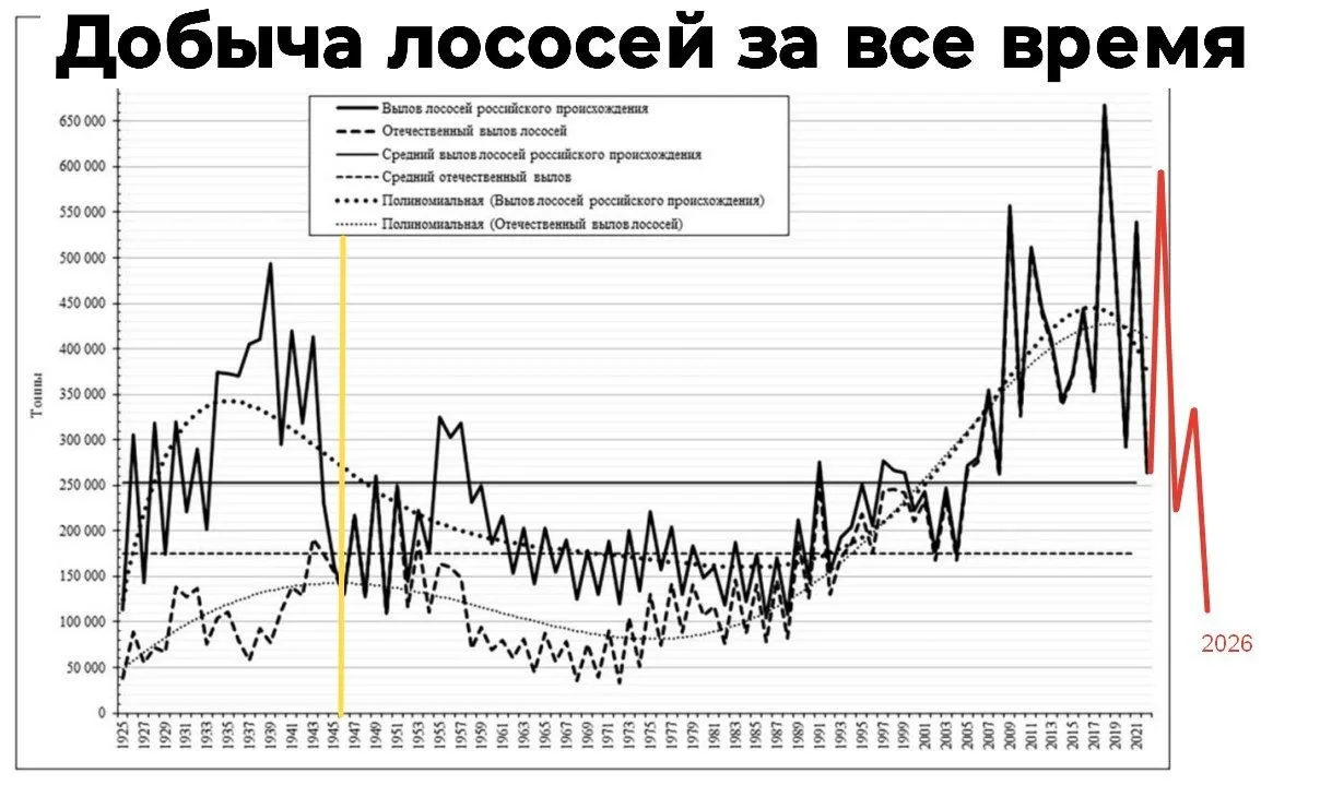 Красная икра в этом году очень дорогая. В розничных магазинах она стоит от 16 до 25 тыс...