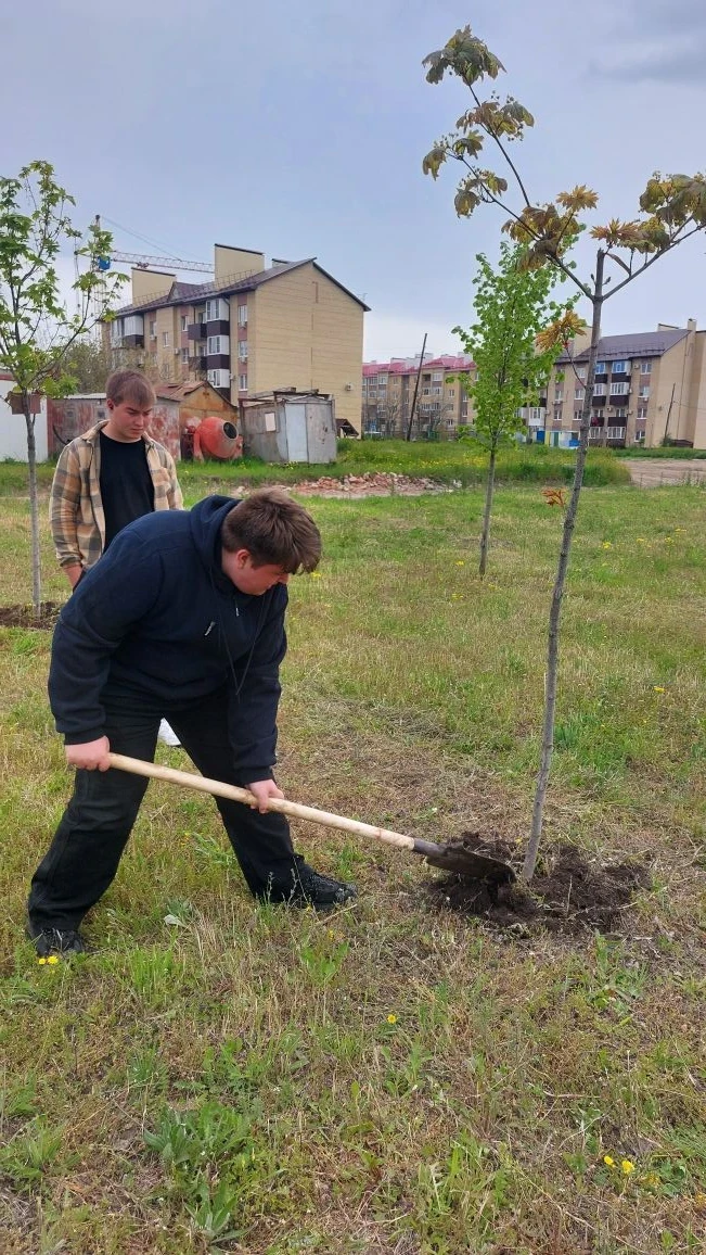 🌳 Студенты Ейского полипрофильного колледжа приняли участие в международной акции «Сад памяти».   🧹 