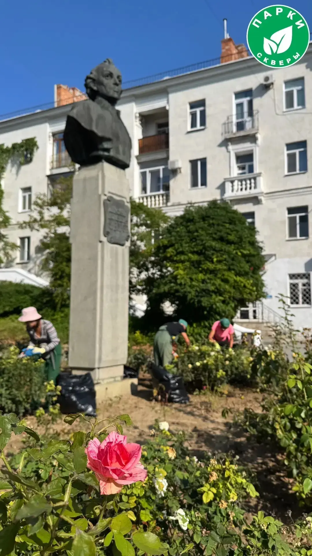 🌹 В сквере у памятника А. В. Суворову специалисты выполнили сезонную обрезку розовых к...