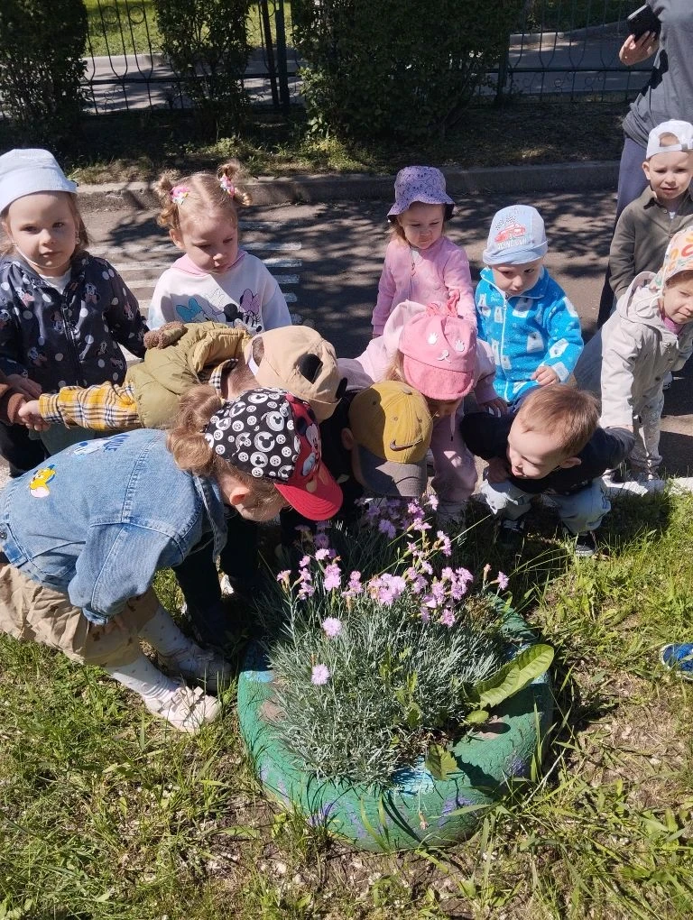 🌸✨ День цветка в группе «Капитошка»! ✨🌸