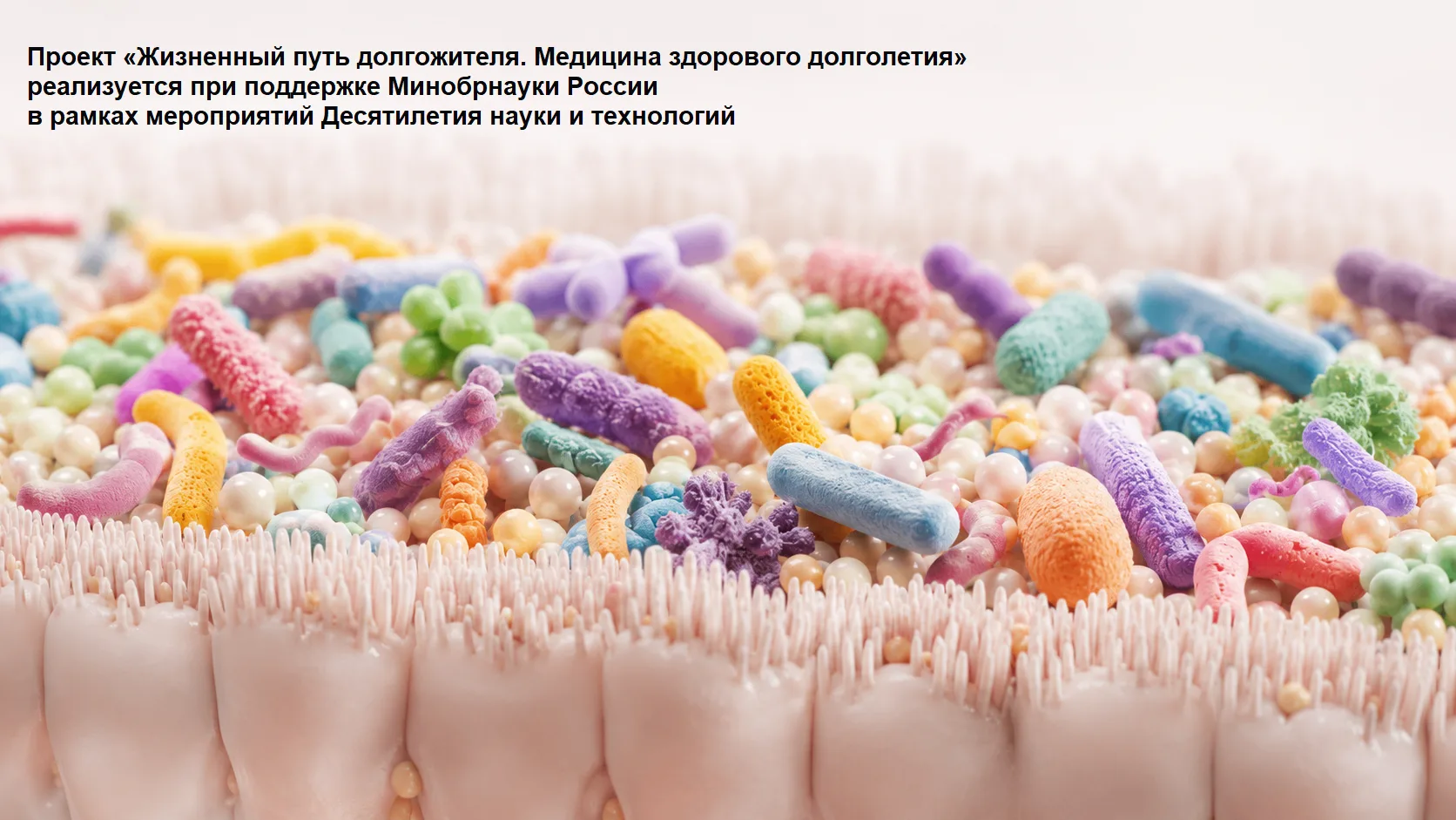 #новостинауки