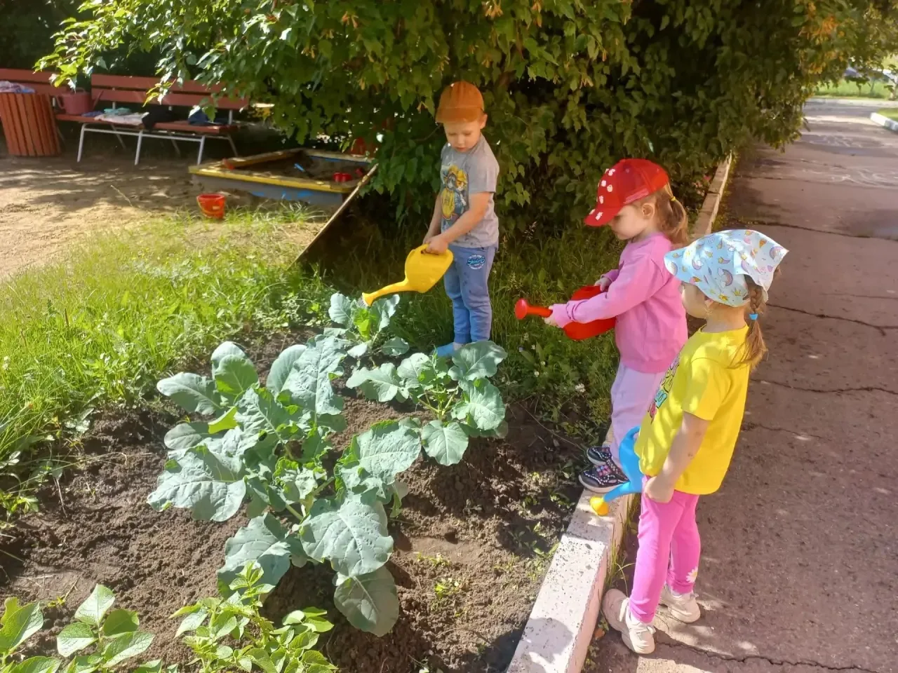Трудовая деятельность в детском саду ☀️🌱

Наши воспитанники самостоятельно поливали грядки, ухажива