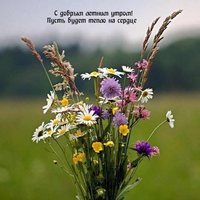 Лёгкого дня!. 🌸🌸🌸
