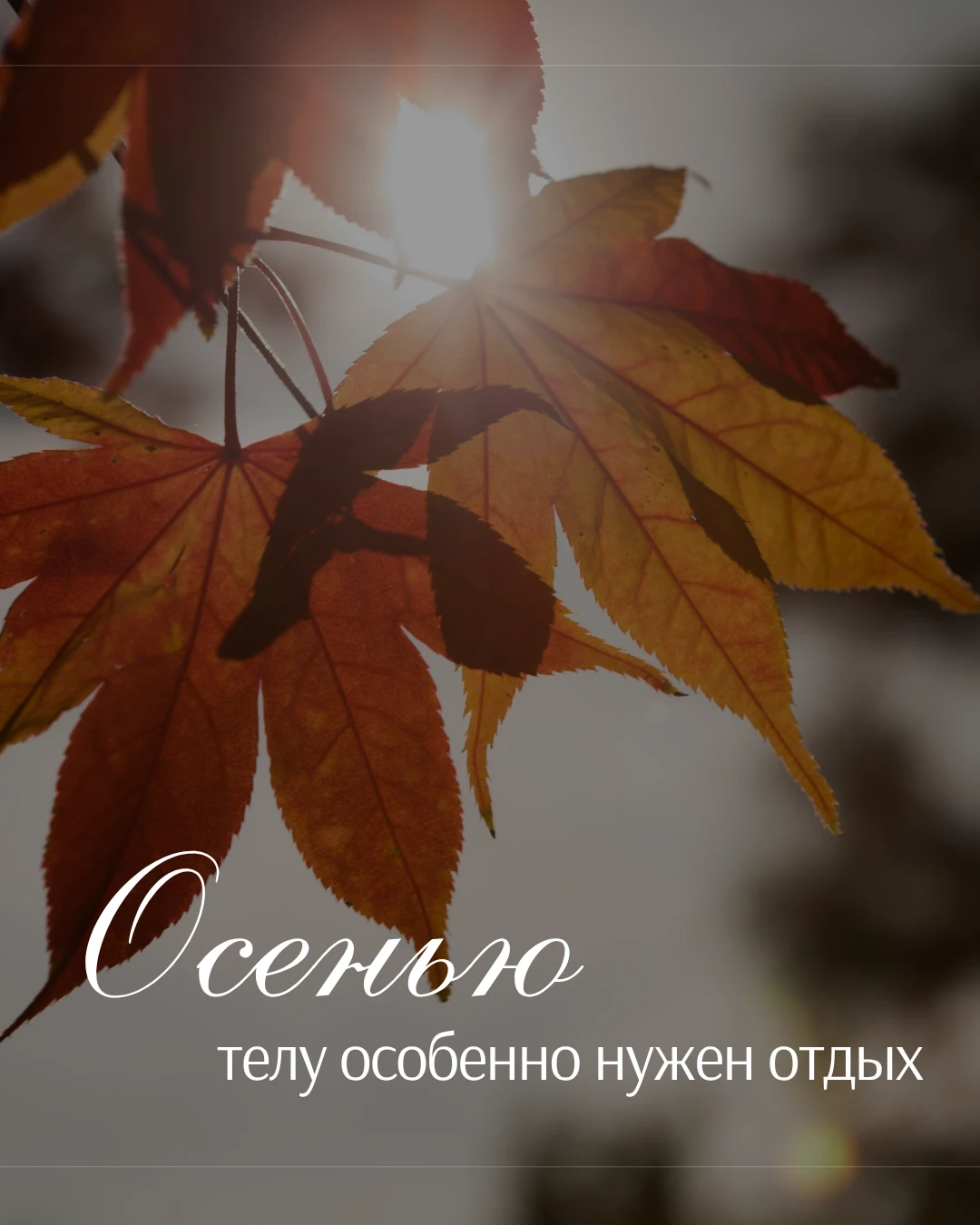 Осенью мы часто замечаем, что устаём быстрее 🍂