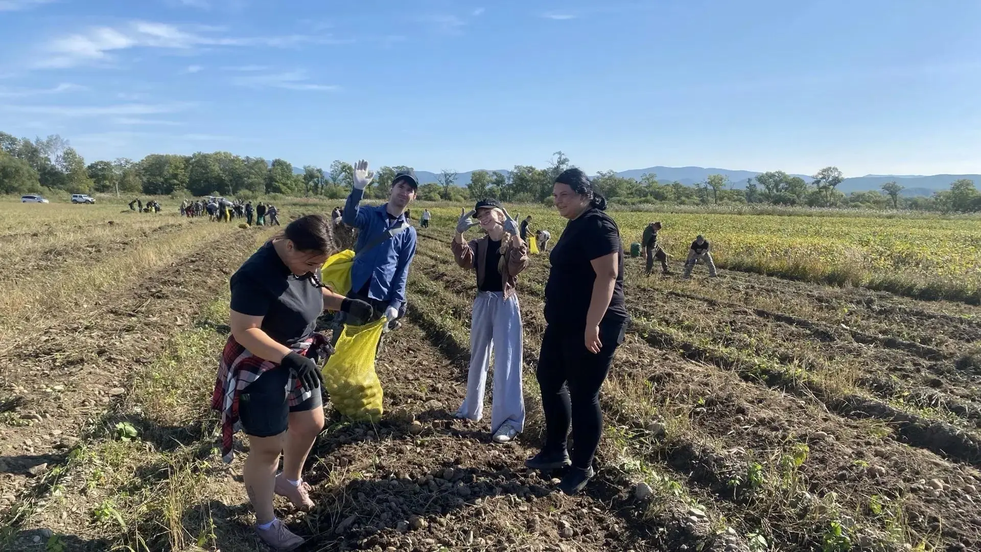 🚜 СЕГОДНЯ — ДЕНЬ «ВТОРОГО ХЛЕБА»! 🥔