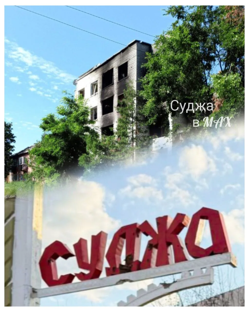 Суджа. Боль, ставшая силой

В моей библиотеке немного книг о Великой Отечественной на Черноземье, но