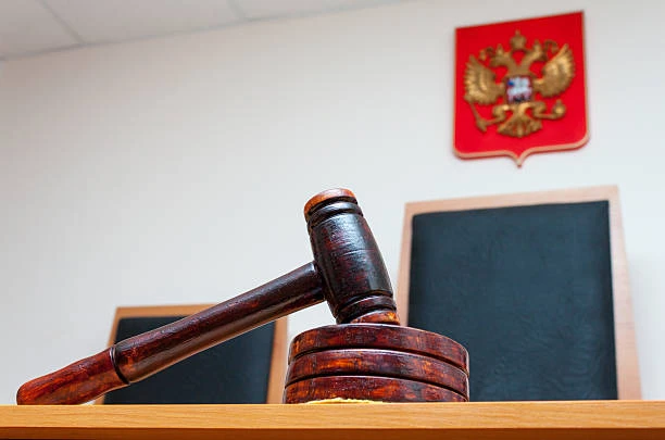 В Карелии двое мужчин получили колонию строгого режима и многомиллионные штрафы за неза...