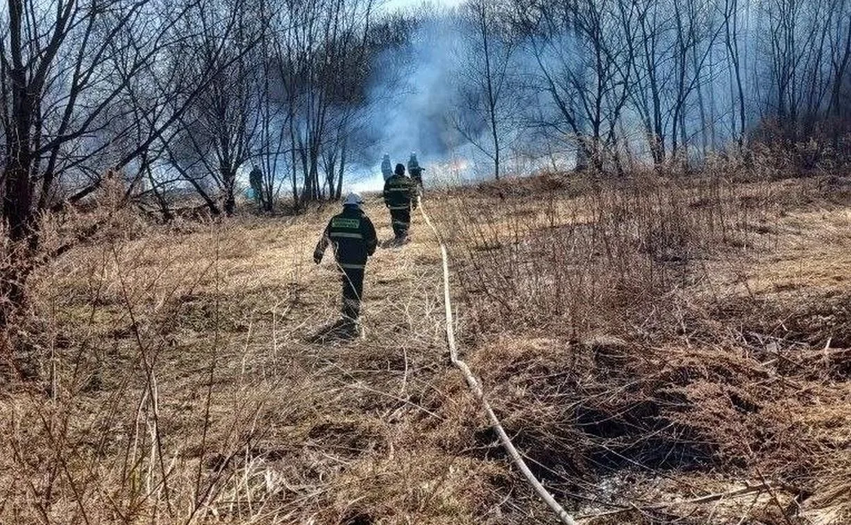 За сутки в Курганской области пожарные ликвидировали 42 возгорани  Сводка происшествий:  1. **Деревн