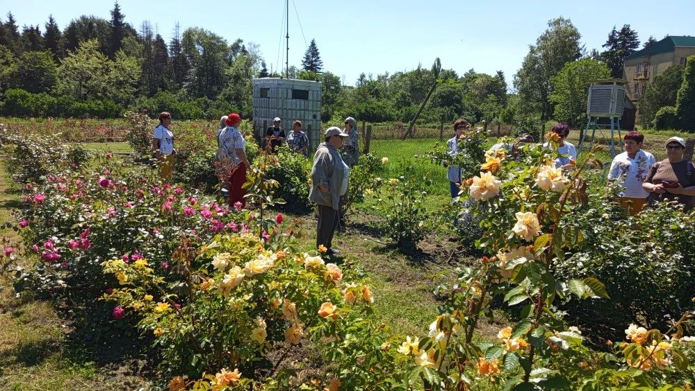 💐 Цветочная терапия для души
Шпаковский центр социального обслуживания продолжает дарить своим подо
