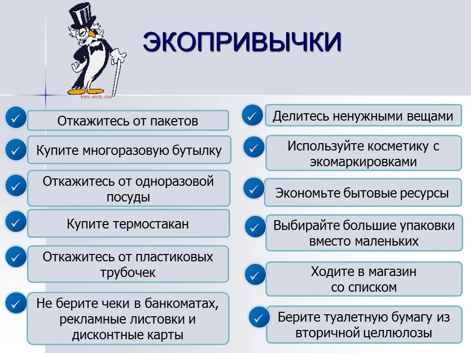 🌍 В День Земли наша школа присоединилась к областной экологической акции «Все в наших руках — Всемир