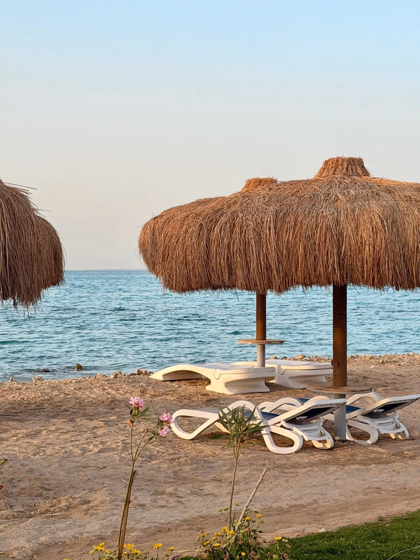✈ Пермь → Египет, Хургада
Летим 22 августа на 7 ночей

🌴 GRAVITY HOTEL & AQUA PARK 5*
На территории