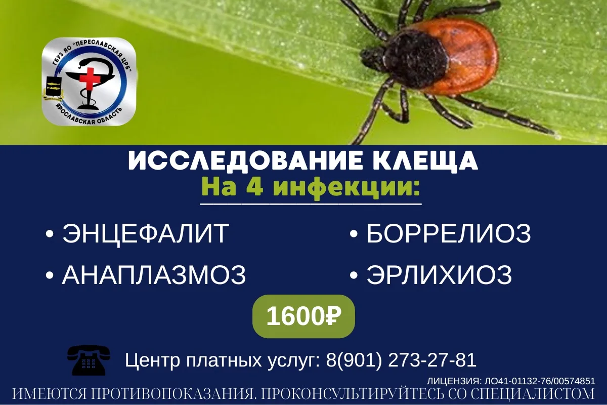 Внимание: сезон активности клещей продолжается☝🏼