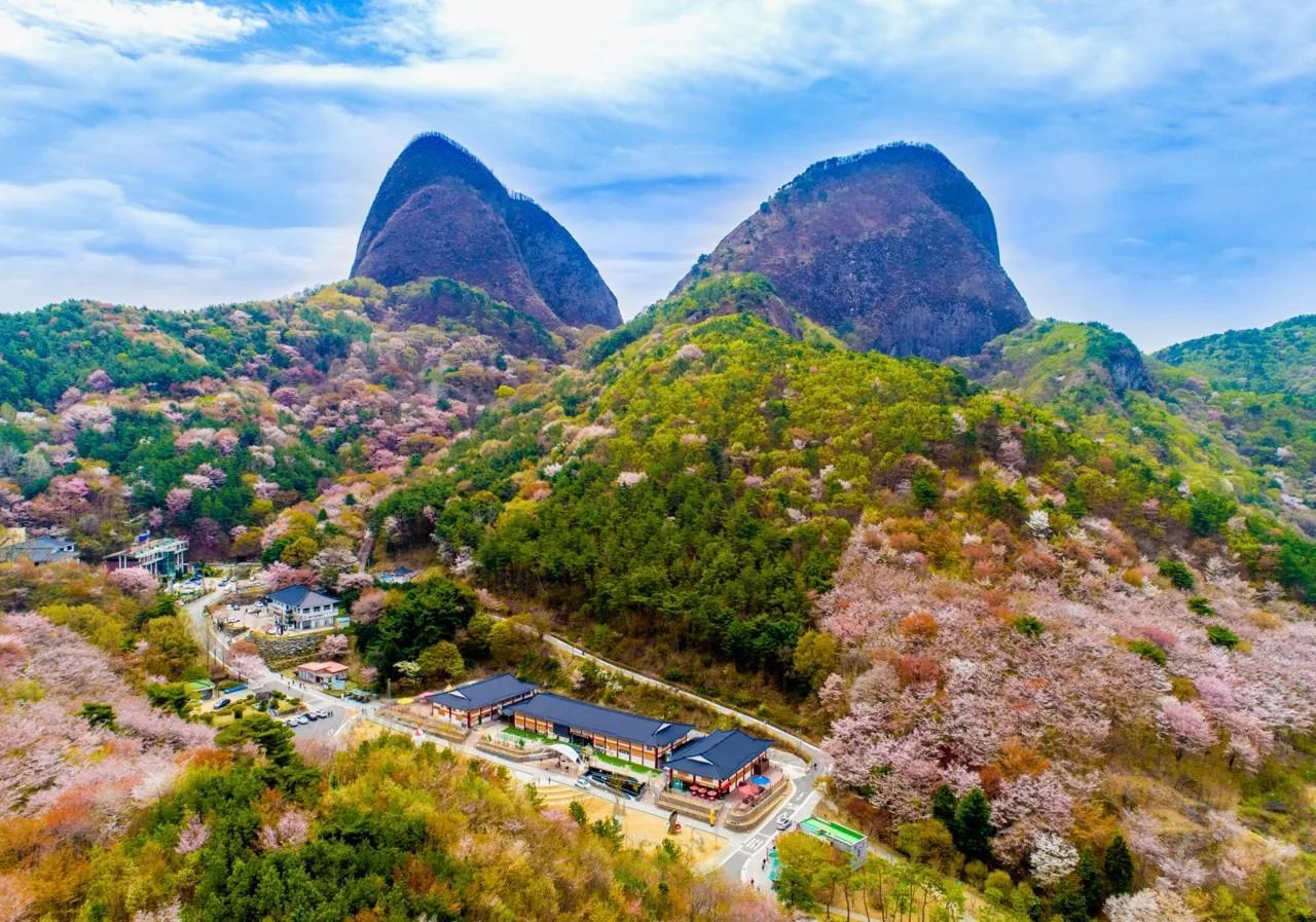 Провинциальный парк Майсан, Южная Корея 🇰🇷

🔹 Это уникальный природный парк, название которого пе