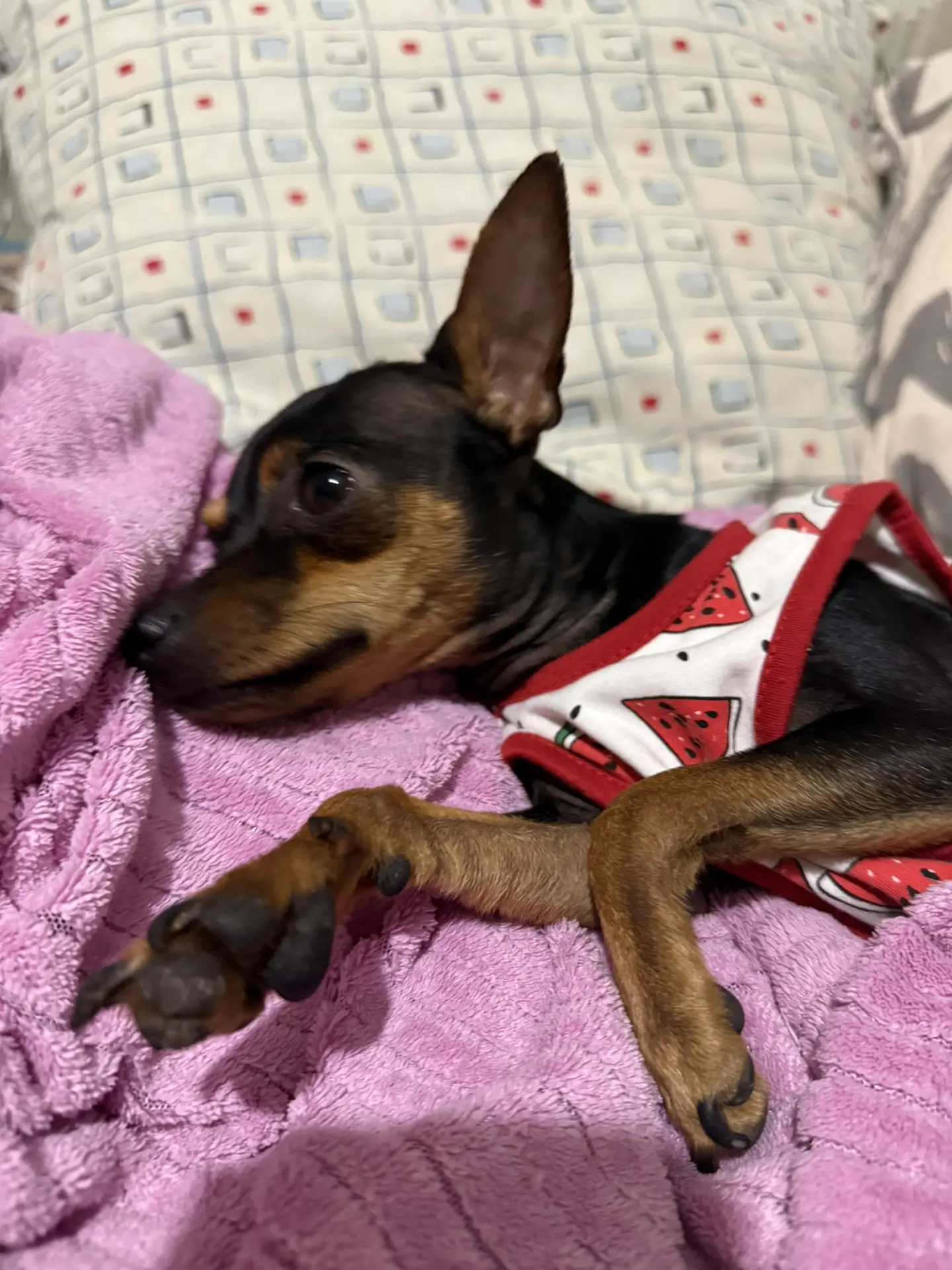 эта та любовь,которая не предается !❤️🐶😍