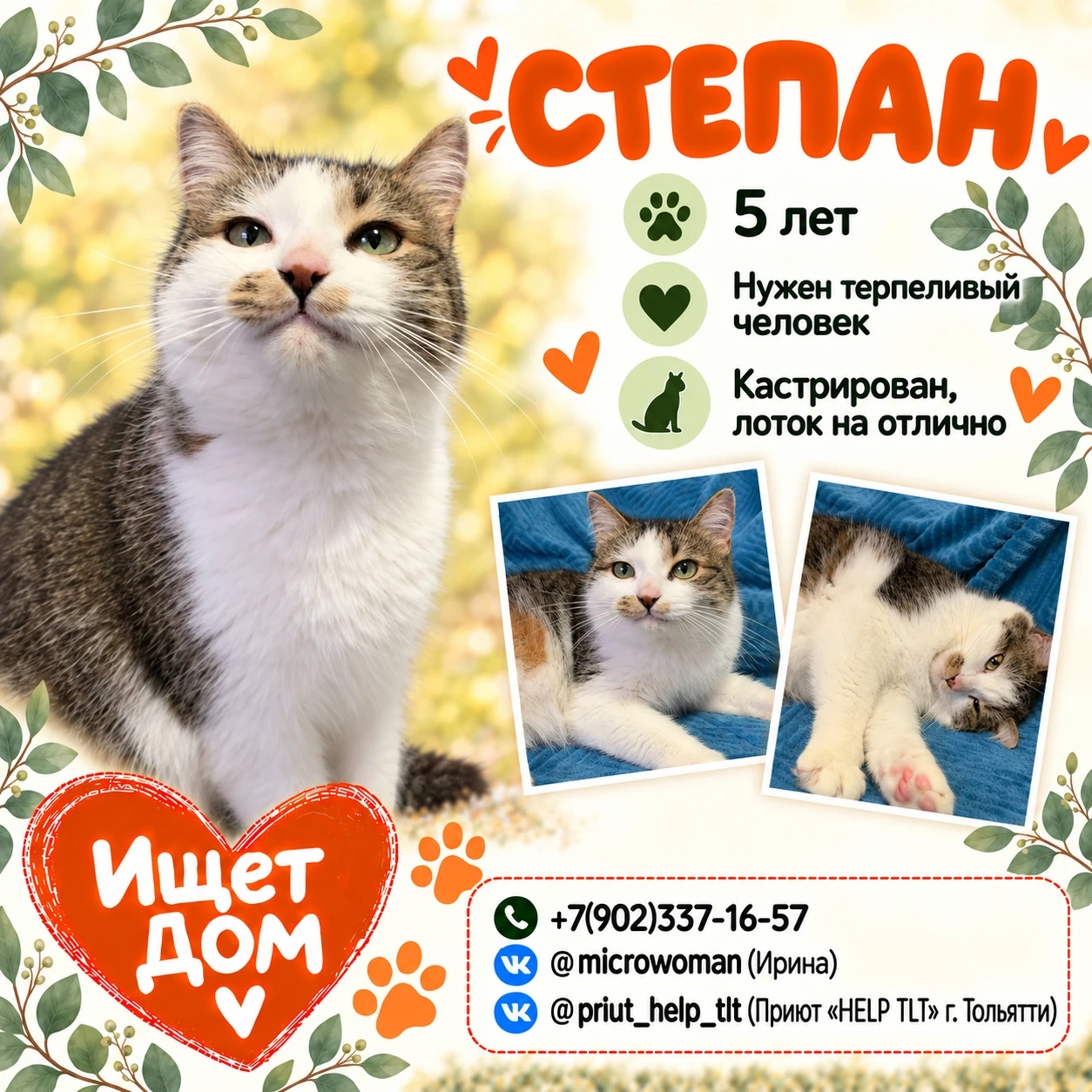 🐱 Друзья, знакомьтесь - Степан.