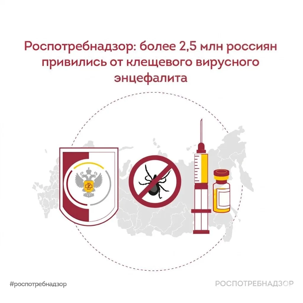 🇷🇺 В России в 2026 году от клещевого вирусного энцефалита (КВЭ) привились более 2,5 млн человек. Все