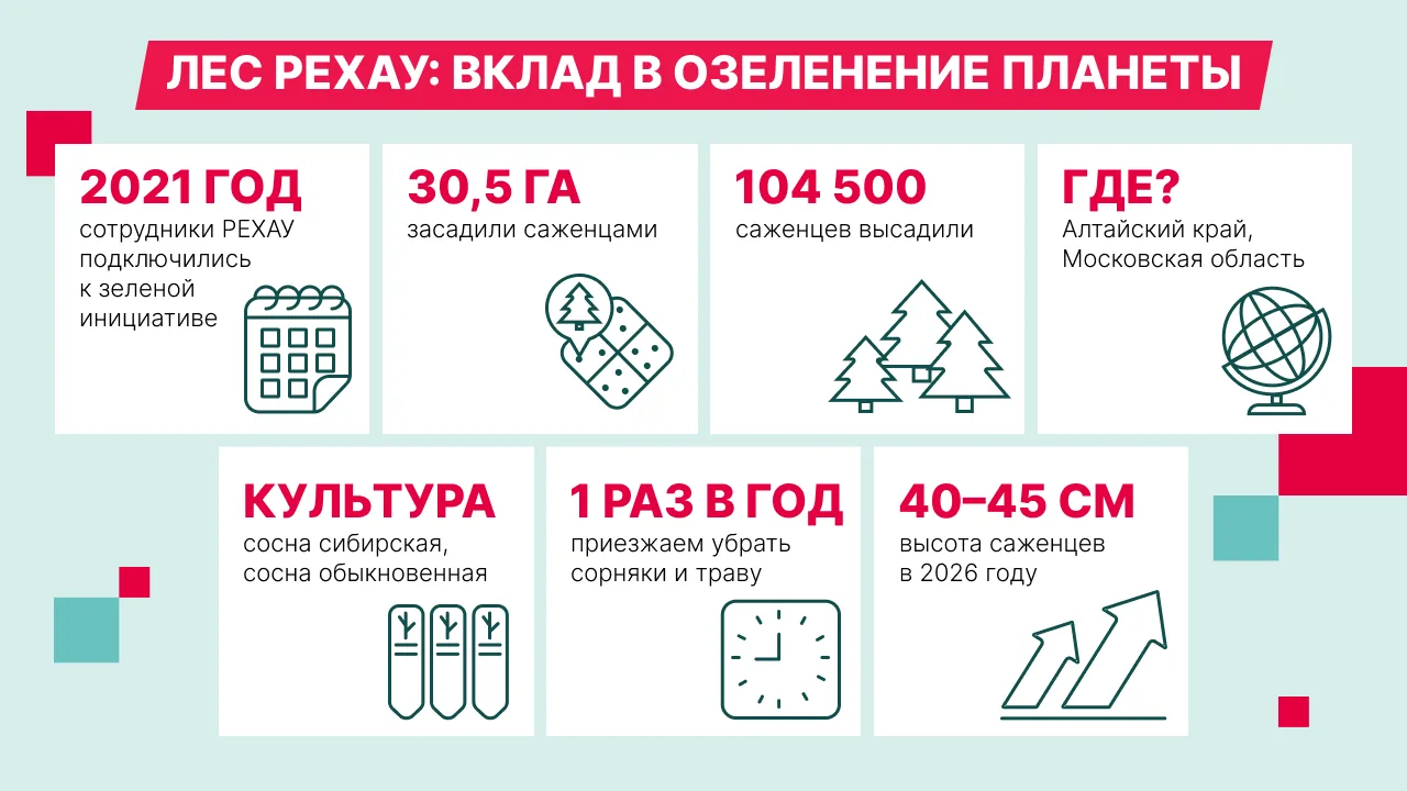 🌲 Лес РЕХАУ: наш вклад в будущее планеты