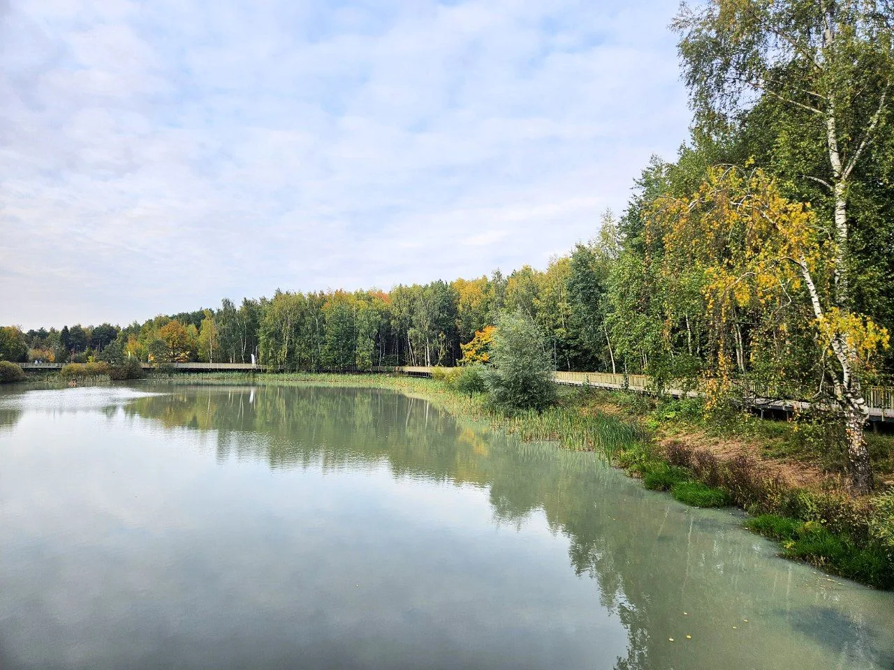Лесопарк "Спутник" это нечто 😍 Сбылась моя мечта городского жителя,  чтобы лес был ряд...