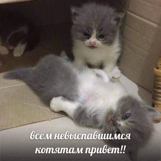 Доброе утро, Курган!