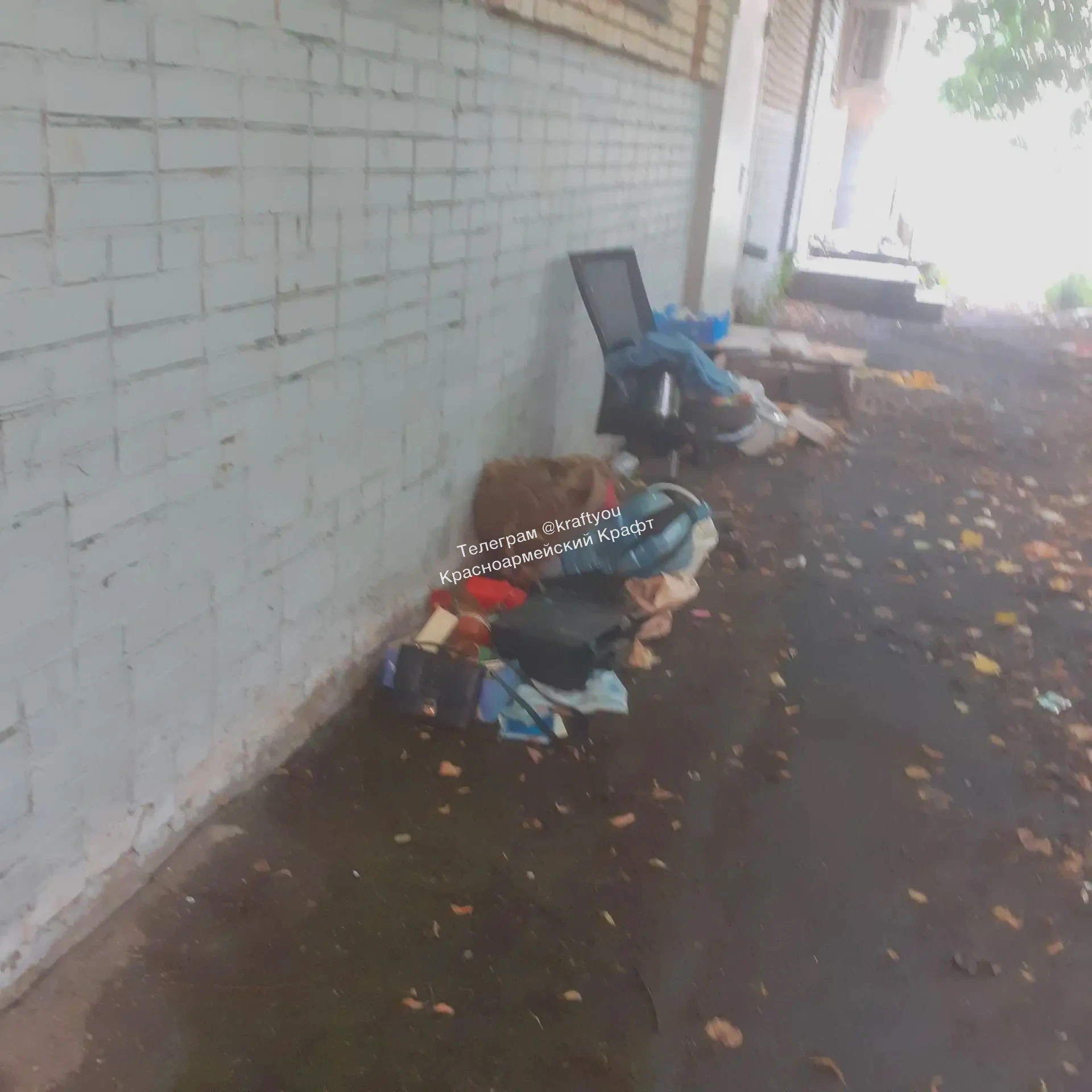 🏠 На Испытателей, 9 местный бомж устроил склад мусора прямо во дворе