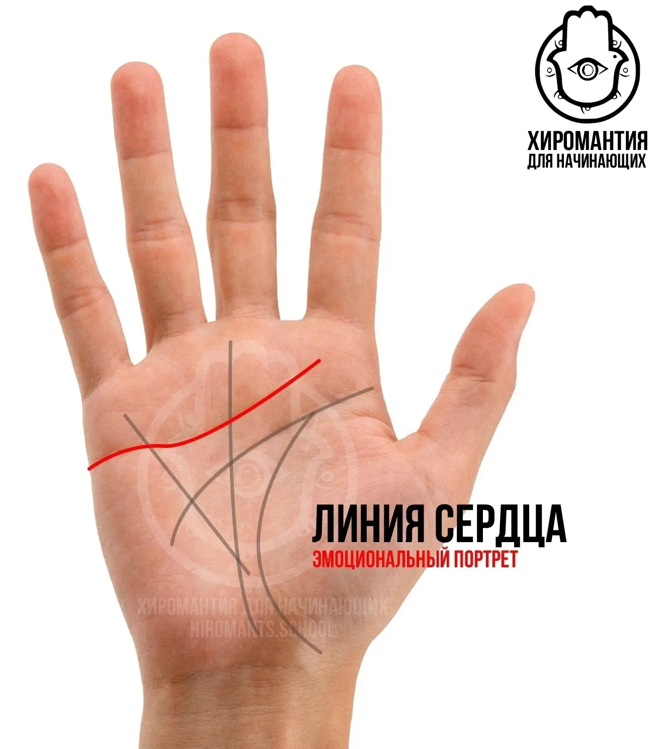 Линия Сердца – полный эмоциональный портрет человека по одной черте ч1