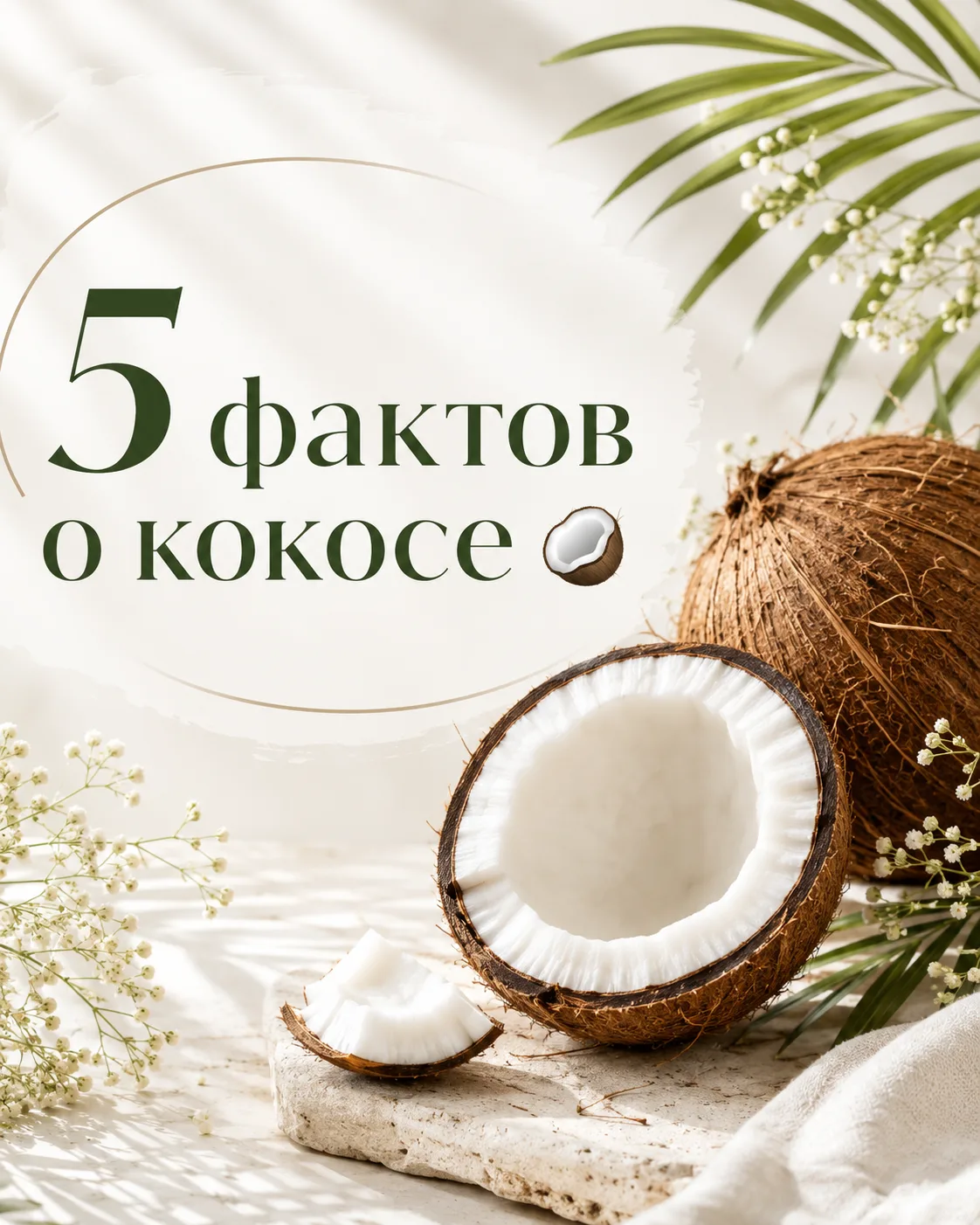 5 фактов о кокосе 🥥

🍀 Кокос — один из древнейших тропических продуктов. Его выращивали и использо