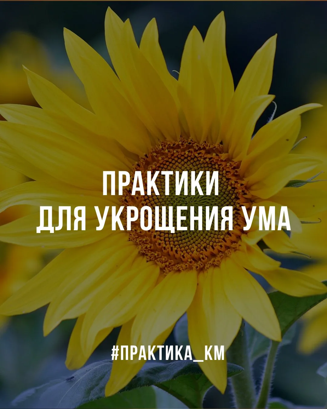 🤩 Практики для укрощения ума