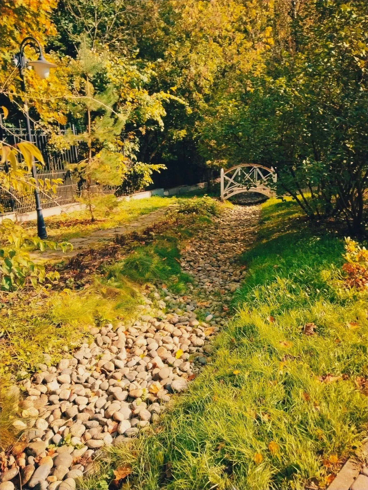 🇨🇳 ЗОЛОТО — ГЛАВНЫЙ ОТТЕНОК ЭТОЙ ОСЕНИ 🍂