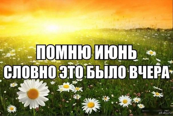 🌞 Треть лета уже позади — вдруг вы не заметили