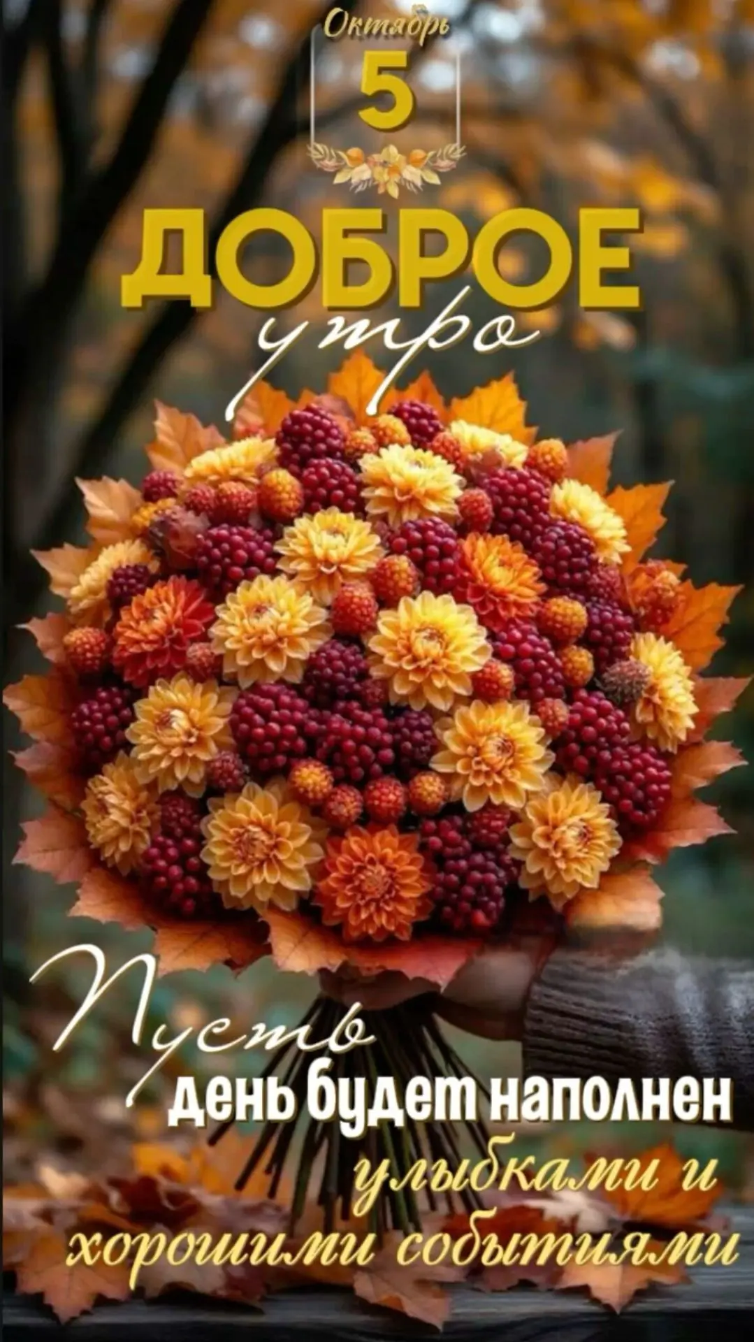 Осень 🍂 — торжество последней красоты засыпающей природы 🍁✨