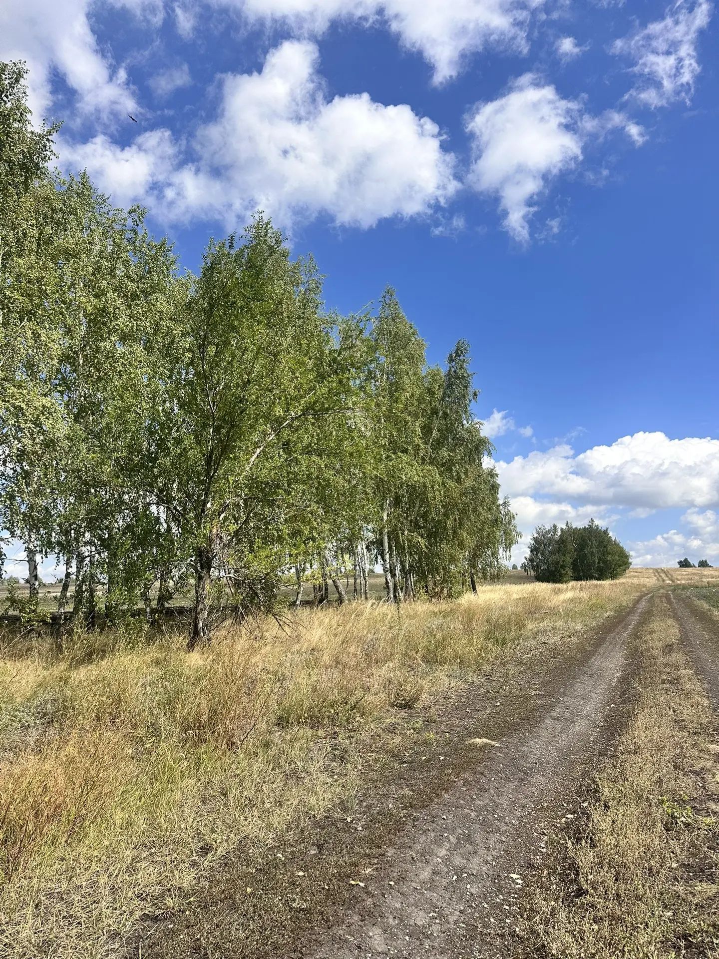 🌻🌾🌻🌾🌻🌾🌻🌾🌻🌾🌻☀️ Доброе деревенское утро, мои дорогие!🌸🤗