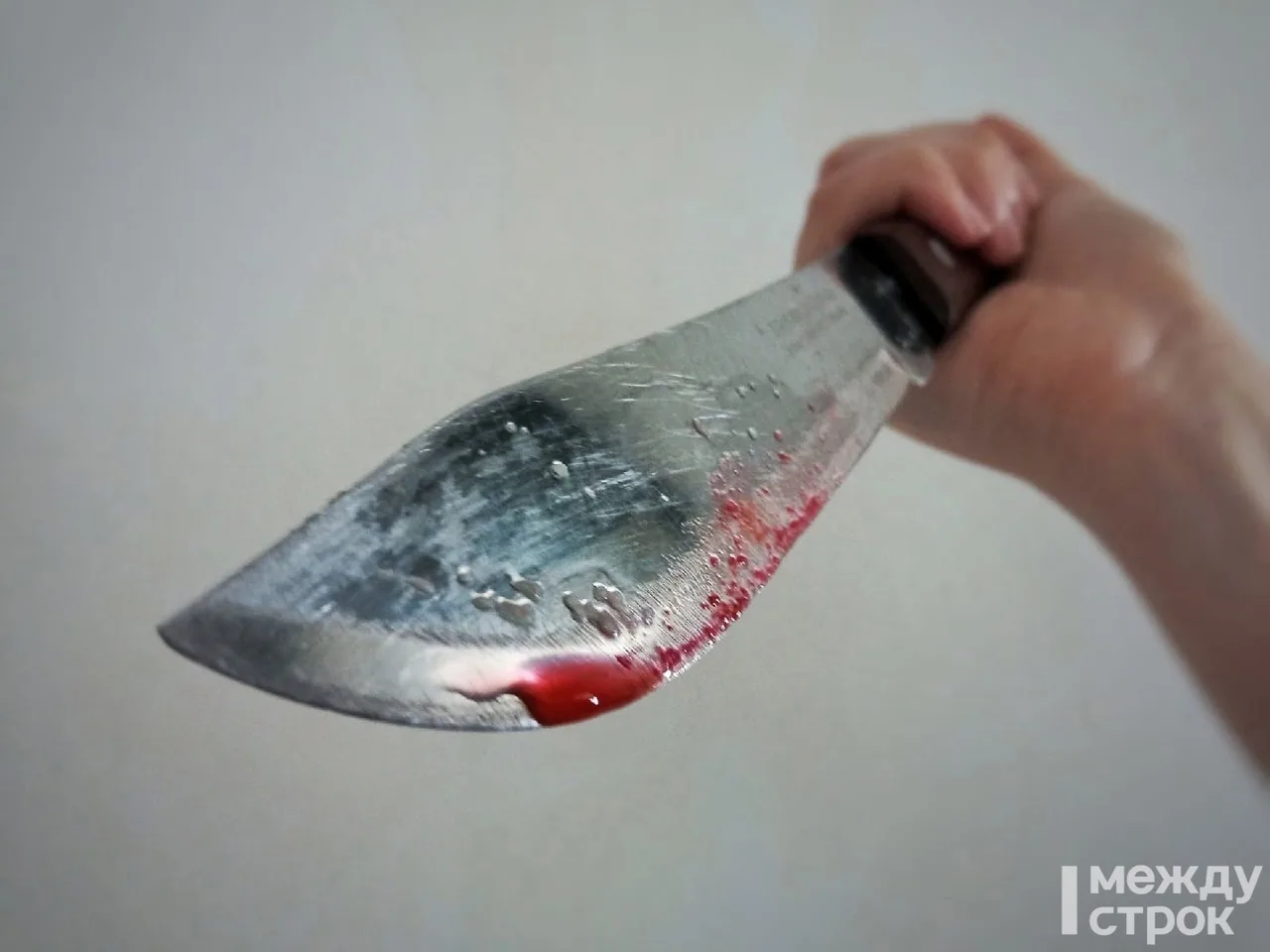 Агентство новостей «Между строк»

В Краснотурьинске двое школьников зарезали 15-летнюю девушку 

Ужа