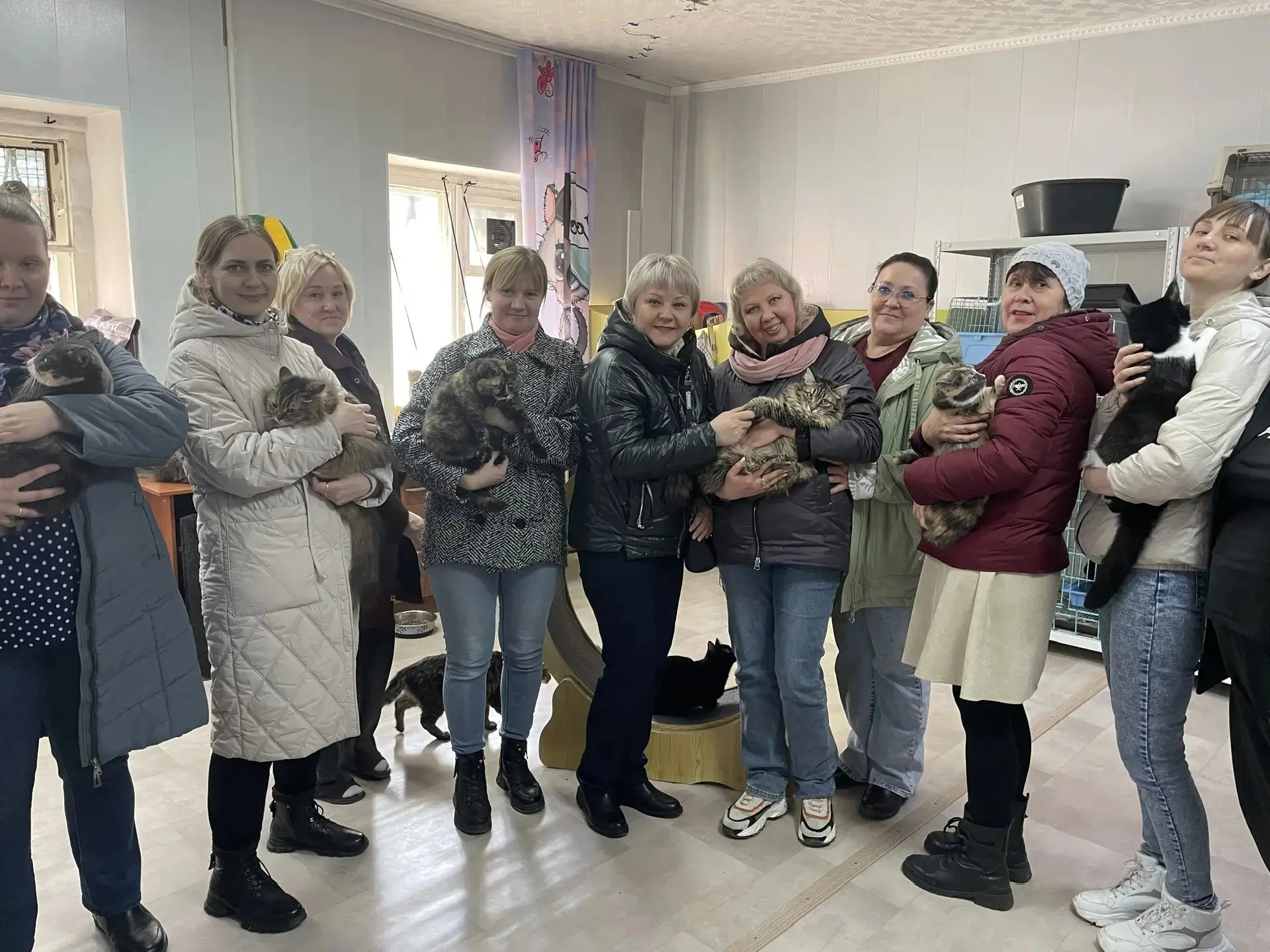 😺В рамках благотворительной акции «Котовасия», организованной Курганской городской общ...