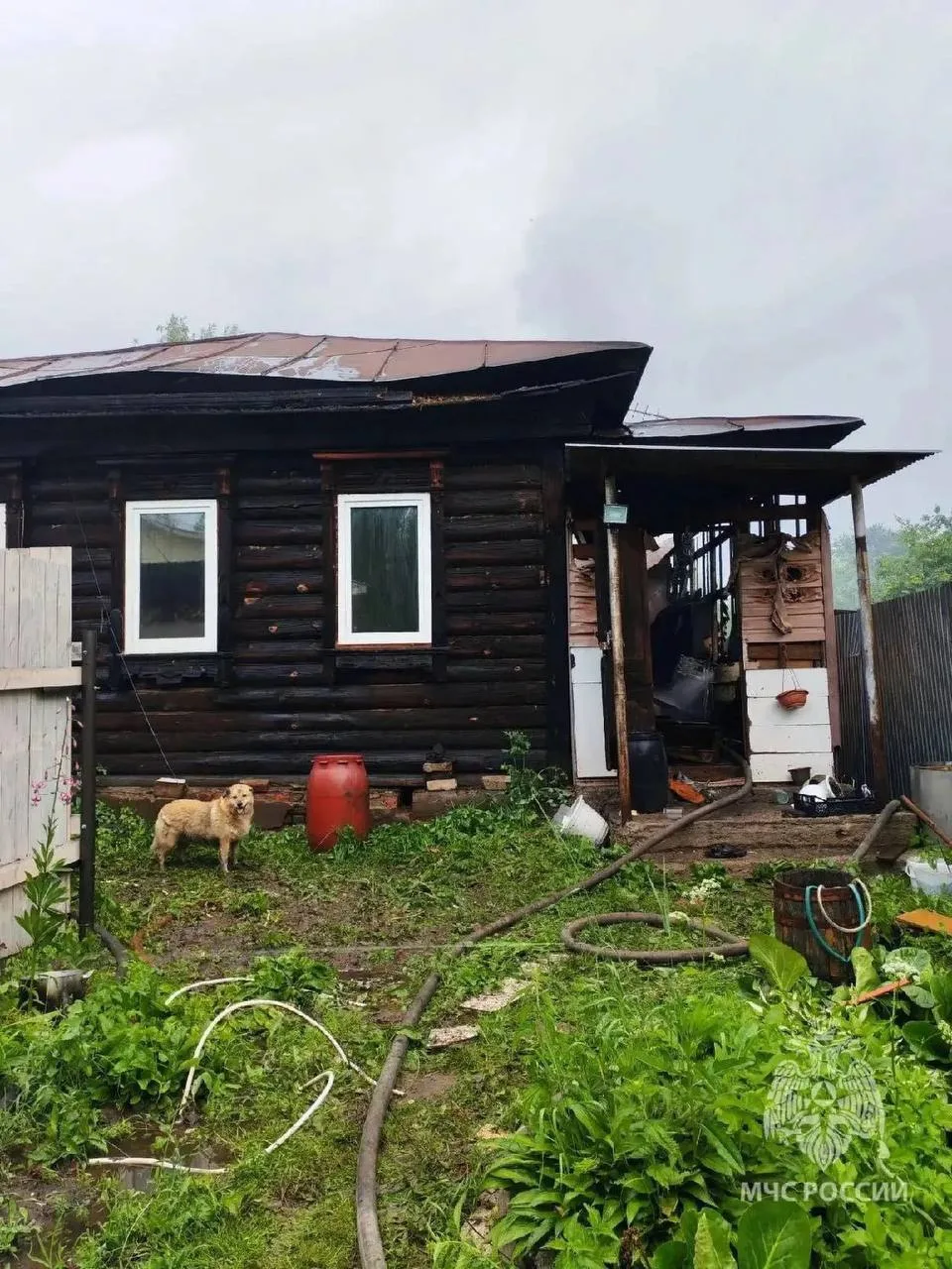 В Богородске из-за удара молнии загорелся дом.

Огонь разошелся на площади 88 квадратных метров. Сей